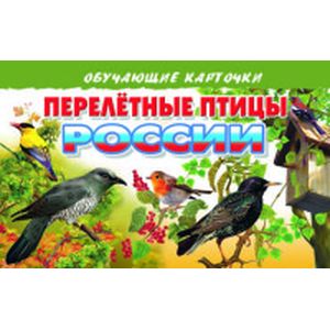 Фото Перелетные птицы России
