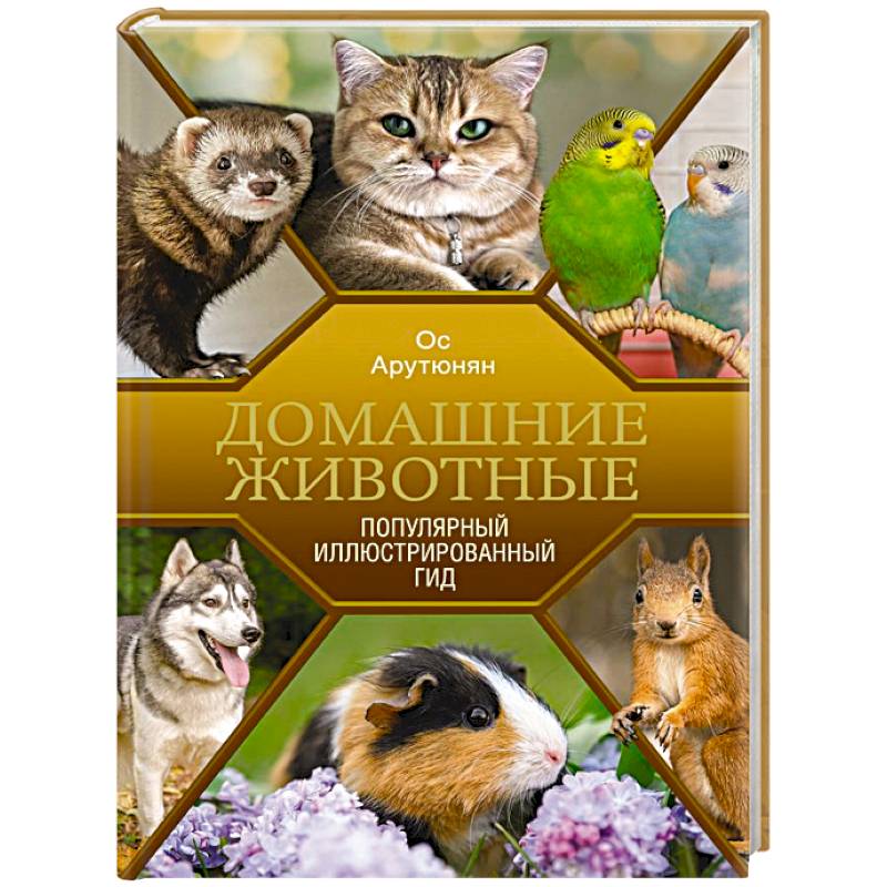 Фото Домашние животные. Популярный иллюстрированный гид