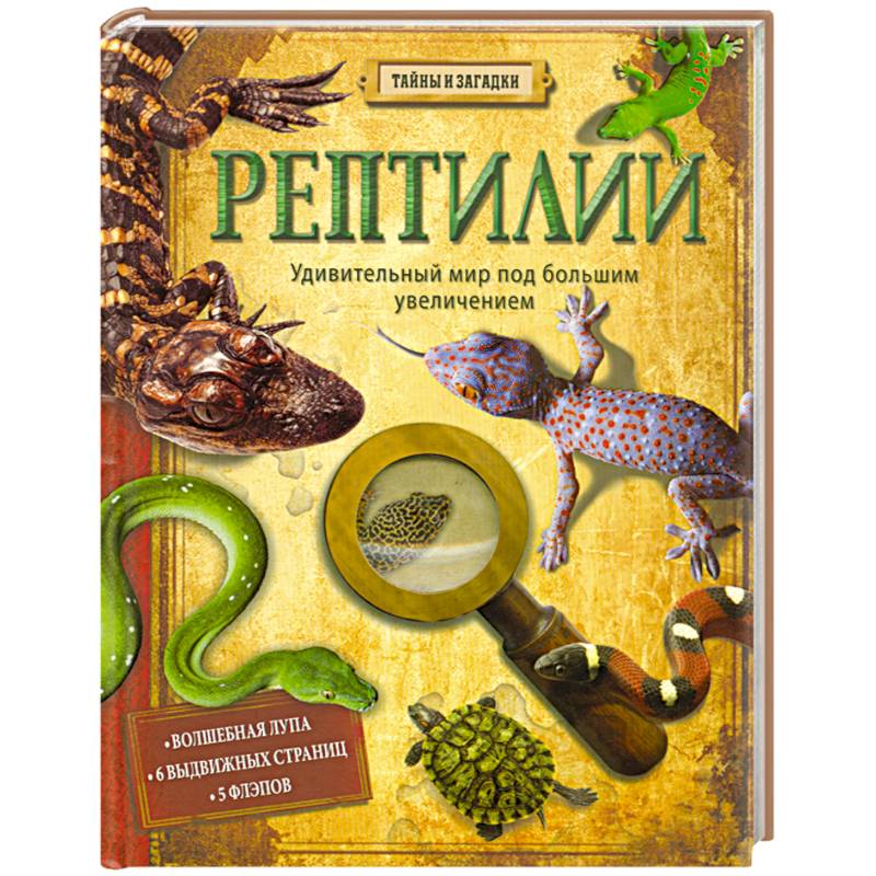 Фото Рептилии