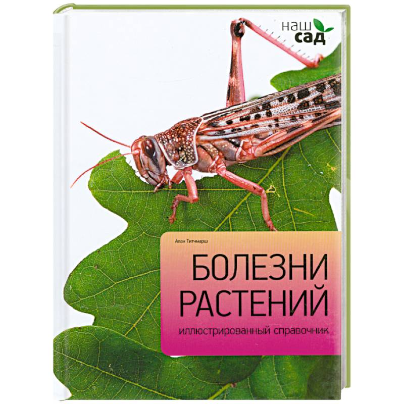 Фото Болезни растений