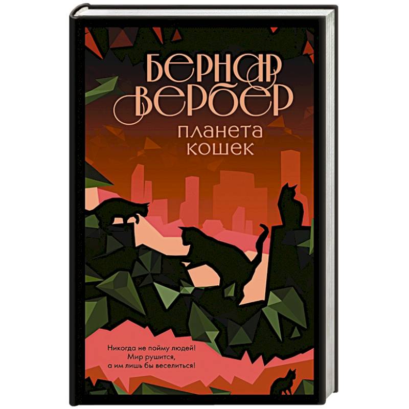 Фото Планета кошек