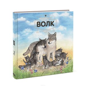 Фото Животные в природе. Волк