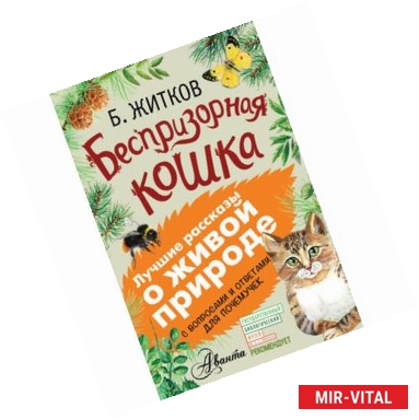 Фото Беспризорная кошка