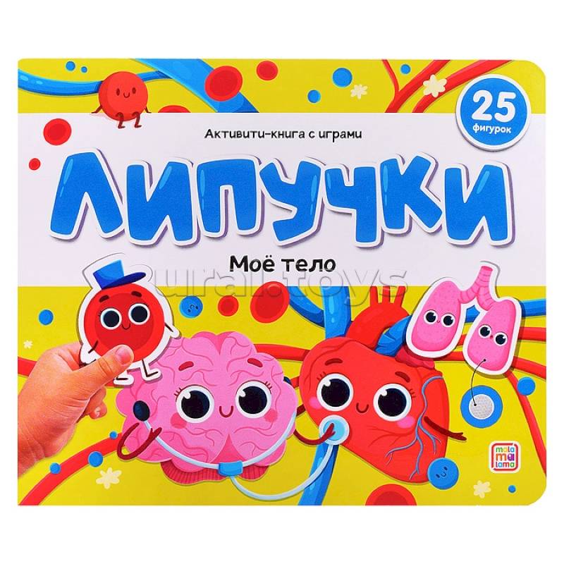 Фото Липучки. Моё тело