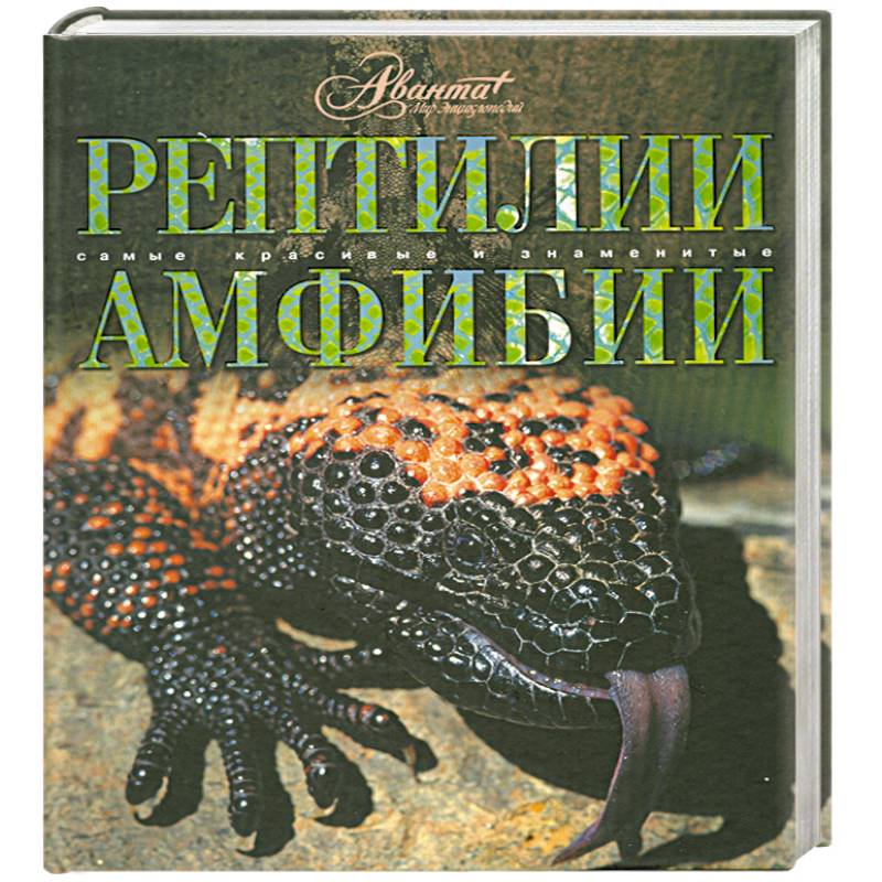 Фото Рептилии. Амфибии