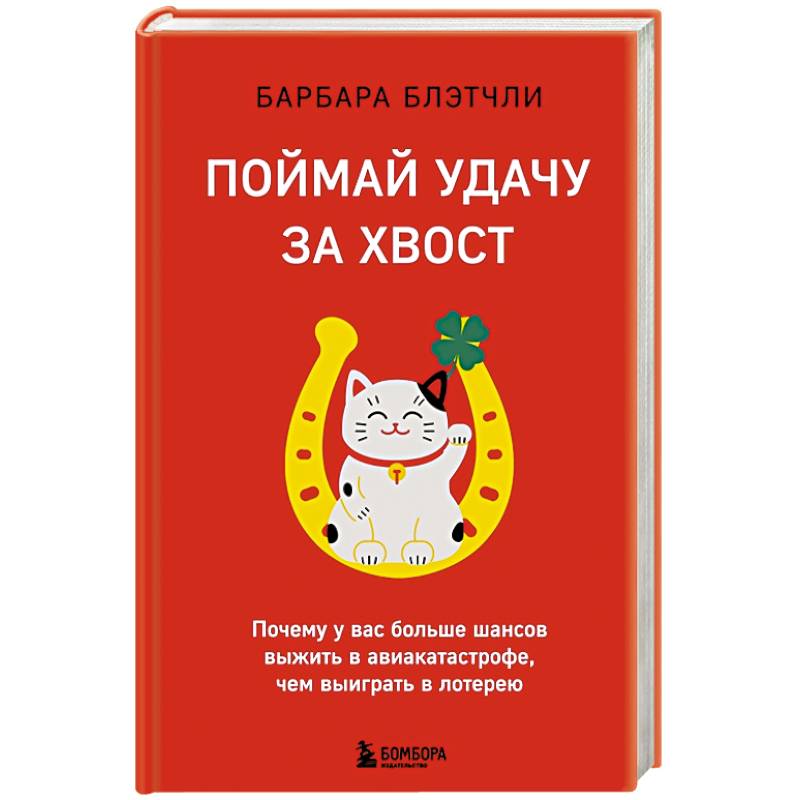 Фото Поймай удачу за хвост. Почему у вас больше шансов выжить в авиакатастрофе, чем выиграть в лотерею