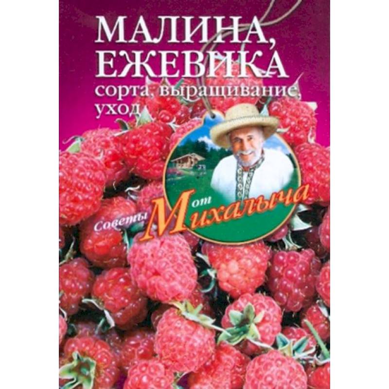 Фото Малина, ежевика. Сорта, выращивание, уход
