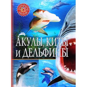 Фото ПДЭ Акулы, киты и дельфины