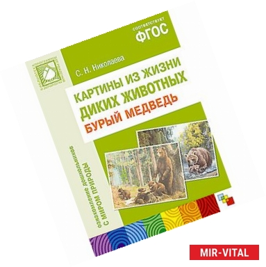 Фото Бурый медведь