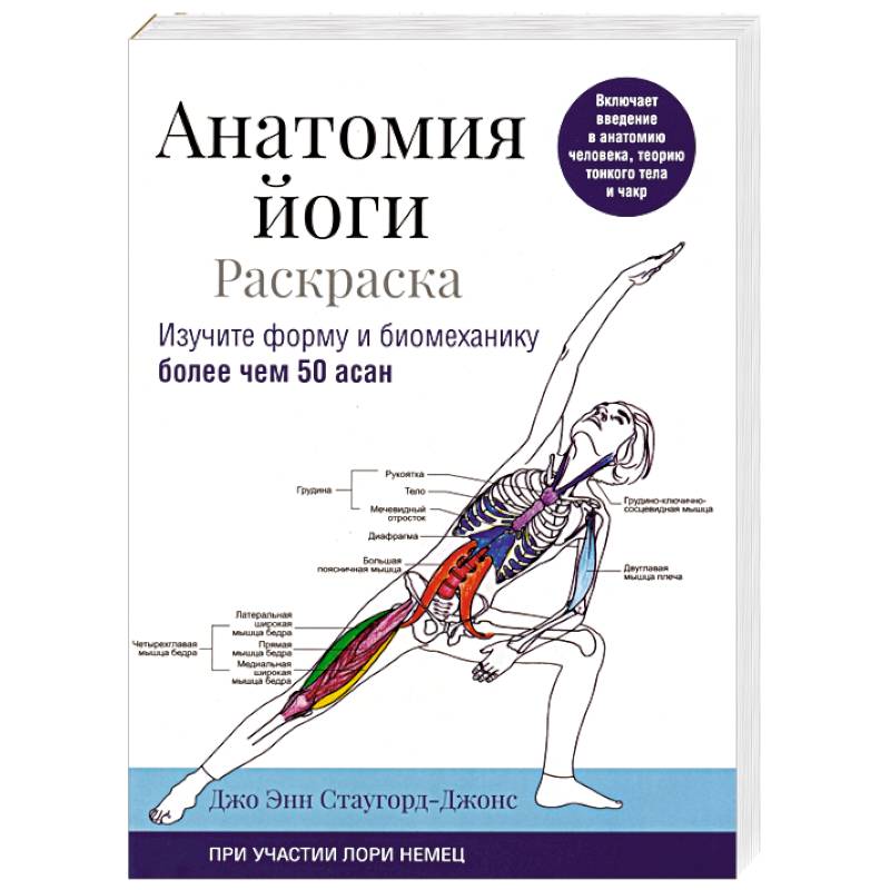 Фото Анатомия йоги. Раскраска. Изучите форму и биомеханику более чем 50 асан