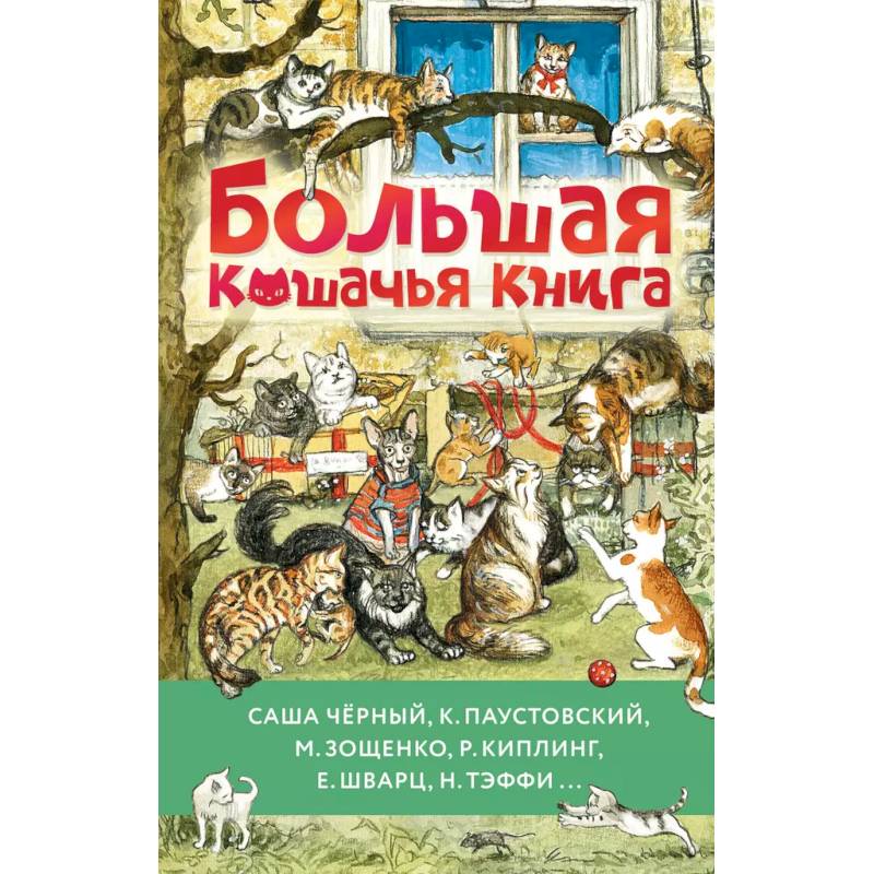 Фото Большая кошачья книга