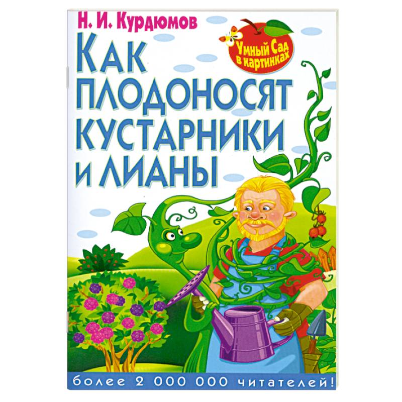 Фото Как плодоносят кустарники и лианы