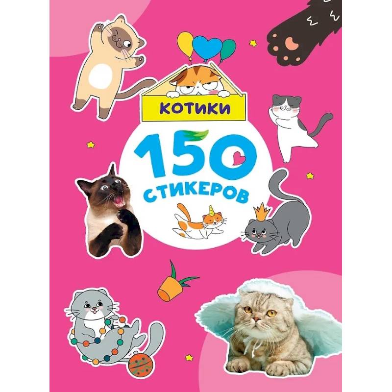 Фото Котики