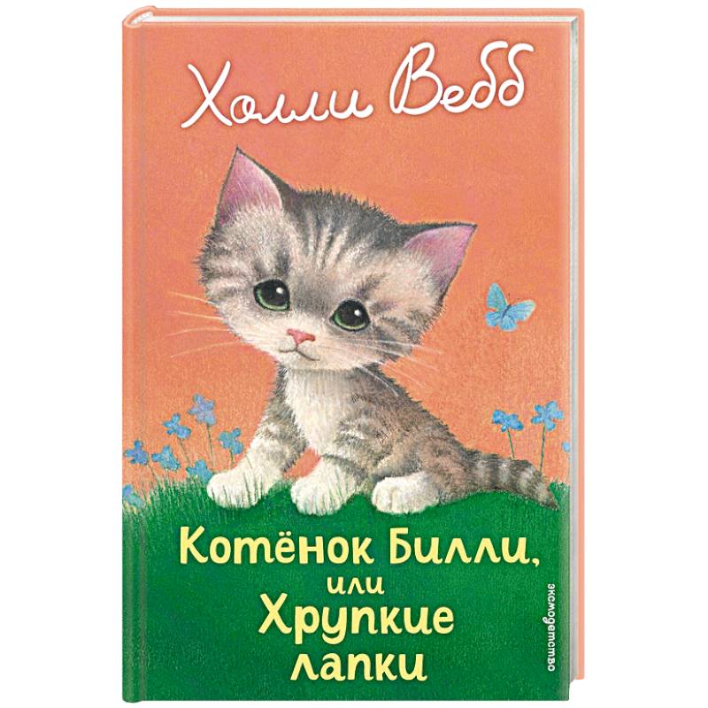 Фото Котенок Билли, или Хрупкие лапки