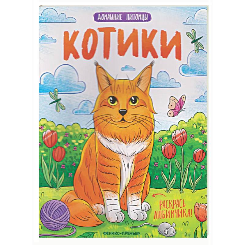 Фото Котики: книжка-раскраска