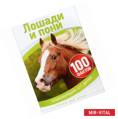 Фото Лошади и пони 6+