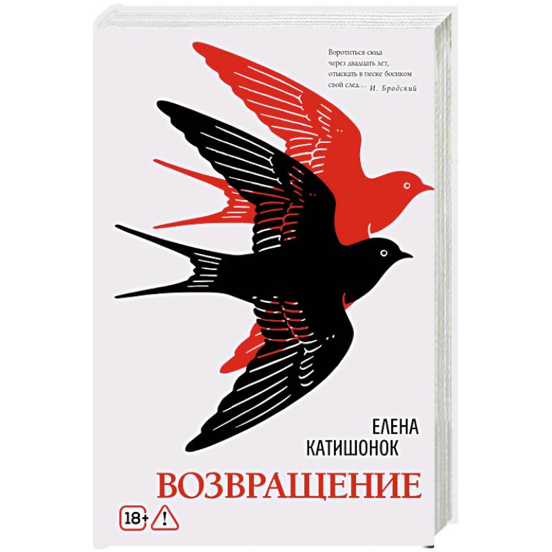 Фото Возвращение: роман