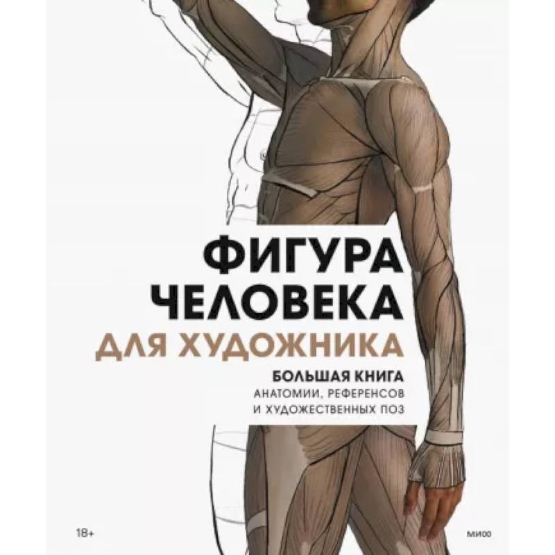 Фото Фигура человека для художника. Большая книга анатомии, референсов и художественных поз