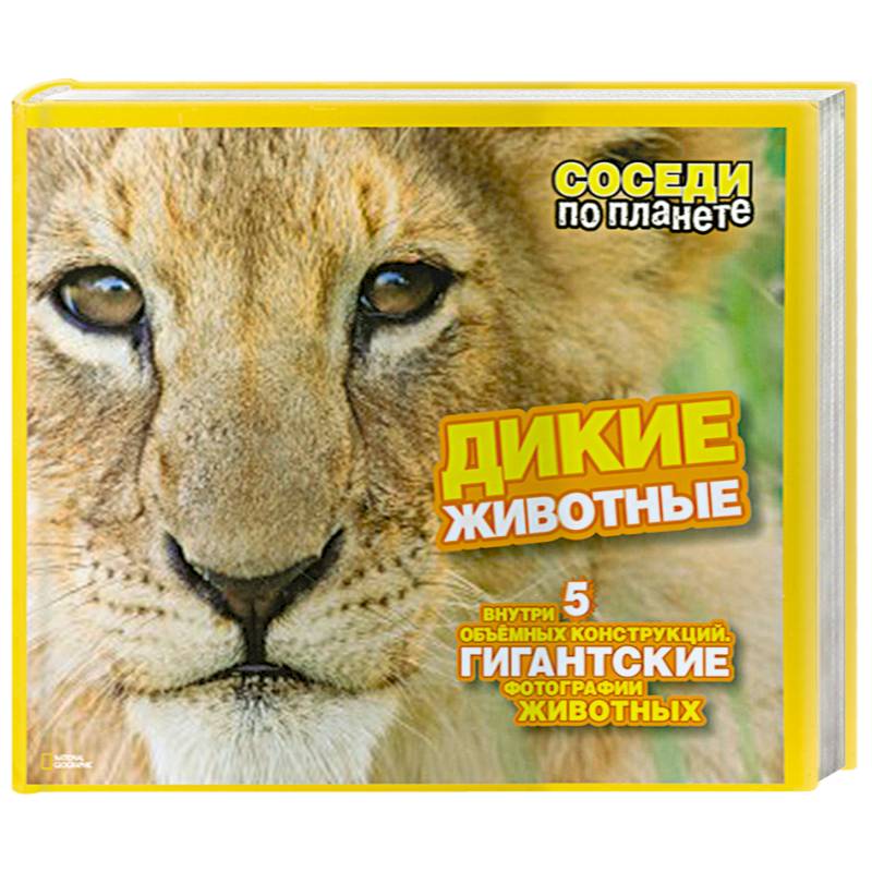 Фото Дикие животные