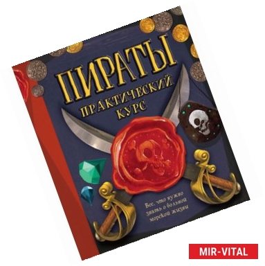 Фото Пираты. Практический курс