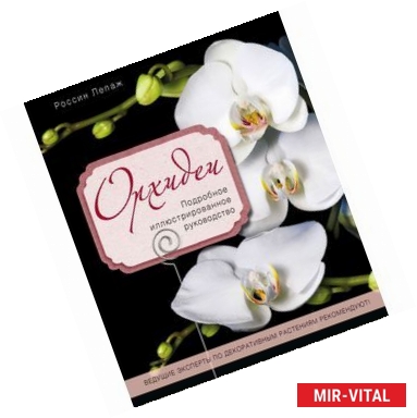 Фото Орхидеи. Подробное иллюстрированное руководство