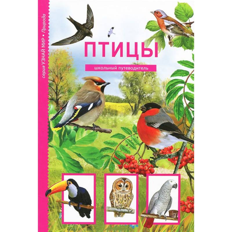 Фото Птицы. Школьный путеводитель