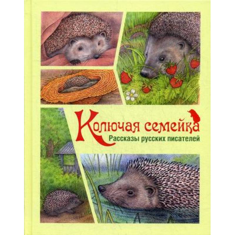 Фото Колючая семейка