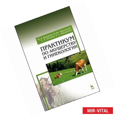 Фото Практикум по акушерству и гинекологии. Учебное пособие