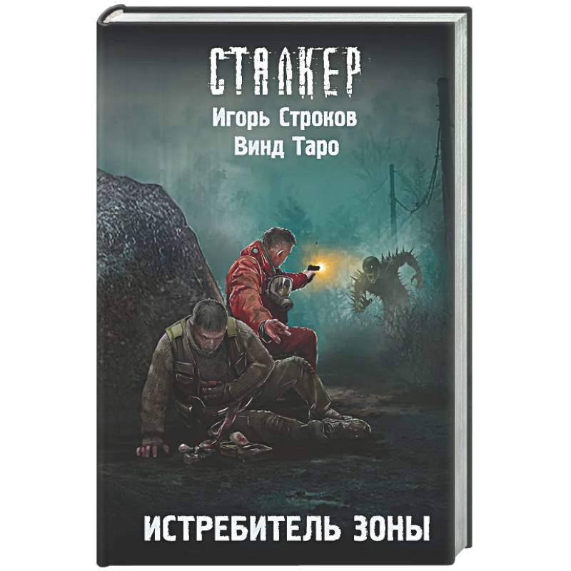 Фото Истребитель Зоны
