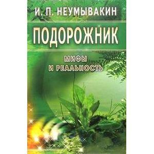 Фото Подорожник. Мифы и реальность