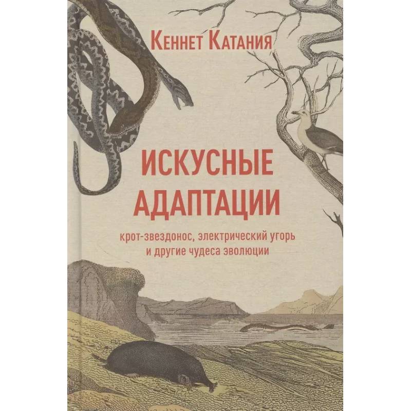 Фото Искусные адаптации. Крот-звездонос, электрический угорь и другие чудеса эволюции