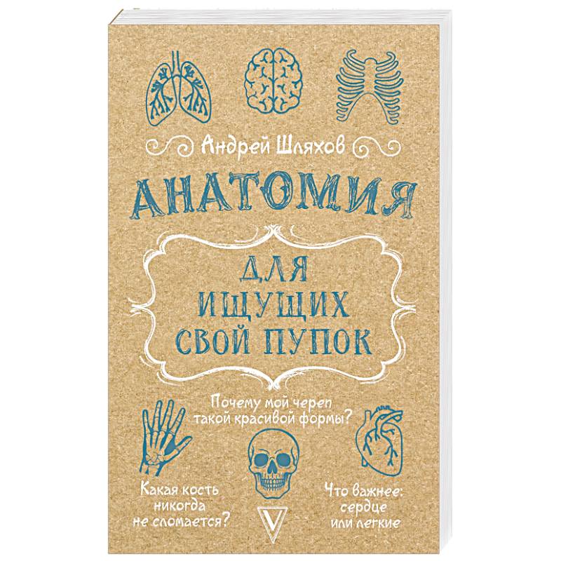 Фото Анатомия для ищущих свой пупок