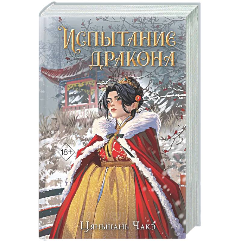 Фото Испытание дракона (#3)