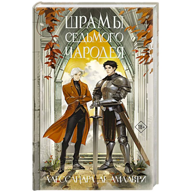 Фото Шрамы седьмого чародея