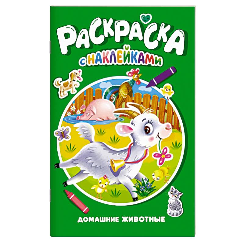 Фото Домашние животные