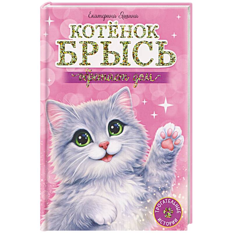 Фото Котёнок Брысь обретает дом