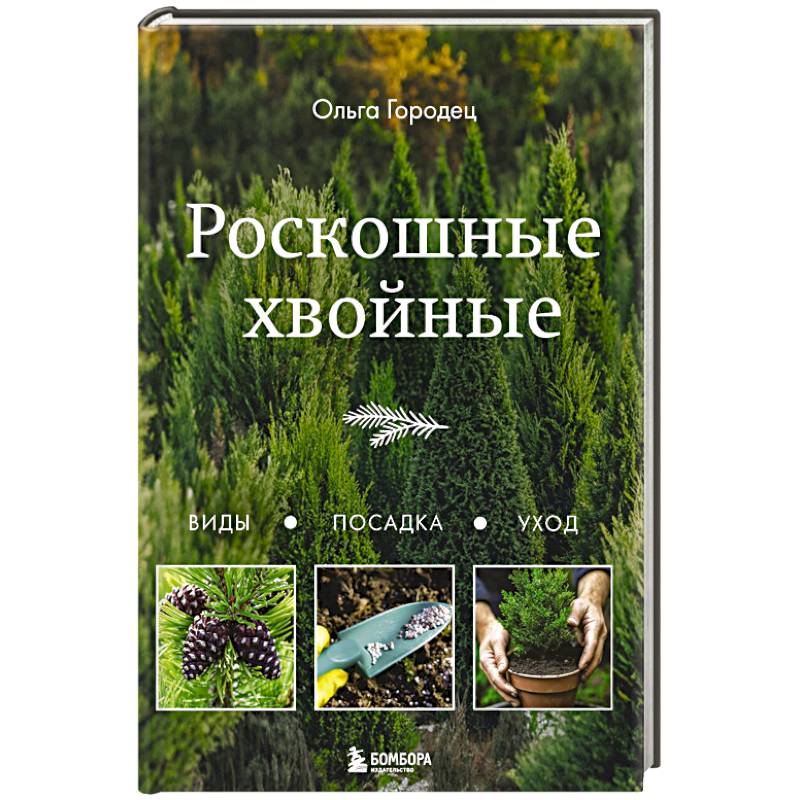 Фото Роскошные хвойные. Виды, посадка, уход