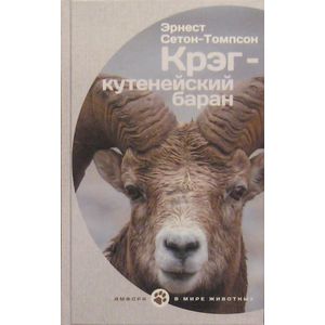 Фото Крэг-кутенейский баран