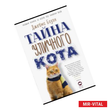 Фото Тайна уличного кота