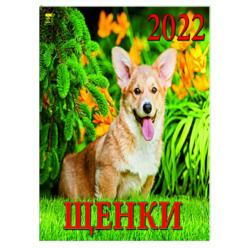 Фото 2022 Календарь Щенки