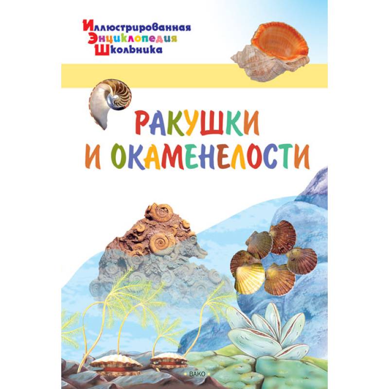 Фото Ракушки и окаменелости