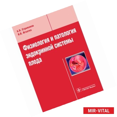 Фото Физиология и патология эндокринной системы плода