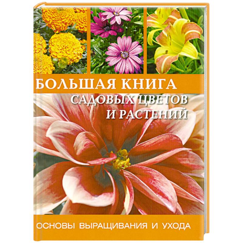 Фото Большая книга садовых цветов и растений: Основы выращивания и ухода