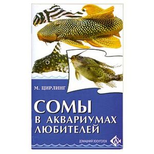 Фото Сомы в аквариумах любителей