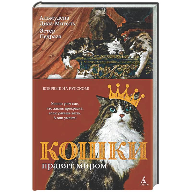 Фото Кошки правят миром