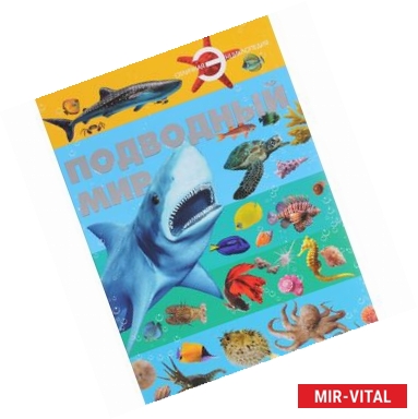 Фото Подводный мир