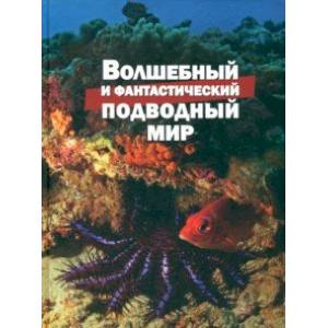 Фото Волшебный и фантастический подводный мир