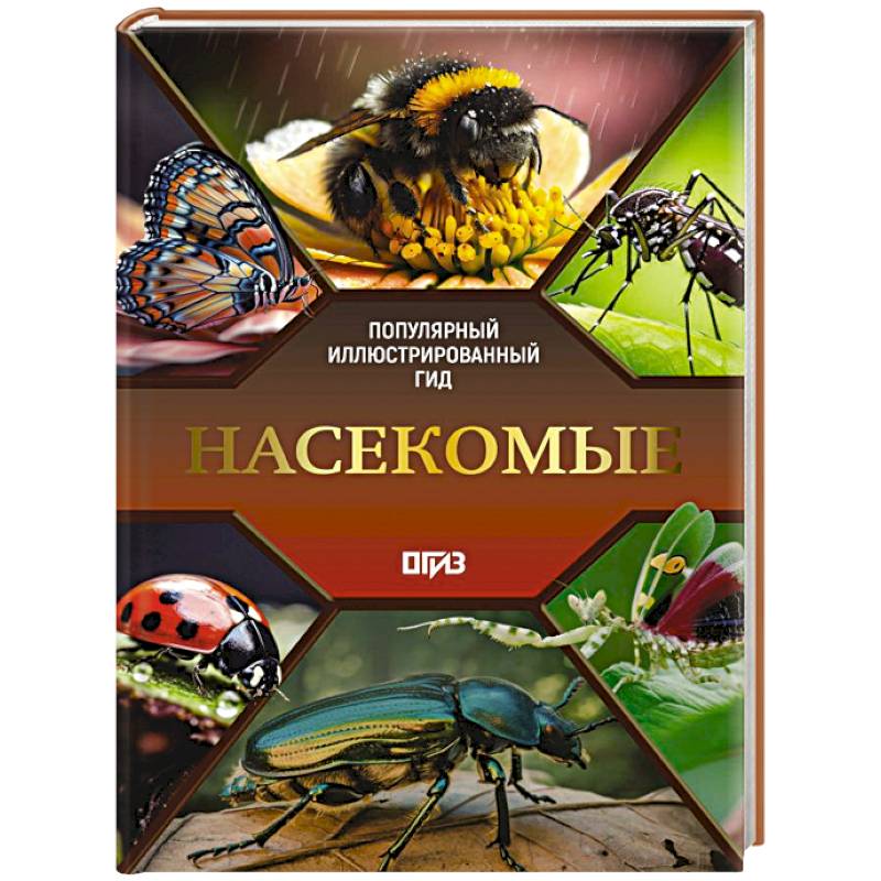 Фото Насекомые. Иллюстрированный гид