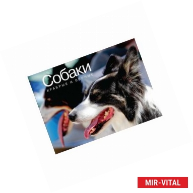 Фото Собаки. Храбрые и верные