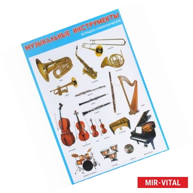 Фото Эстрадно-симфонические музыкальные инструменты. Плакат